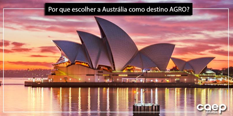 Por que escolher a Austrália como destino Agro?
