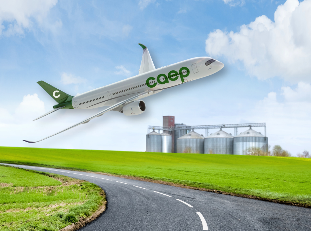 O papel estratégico das cooperativas agro e como superar seus desafios