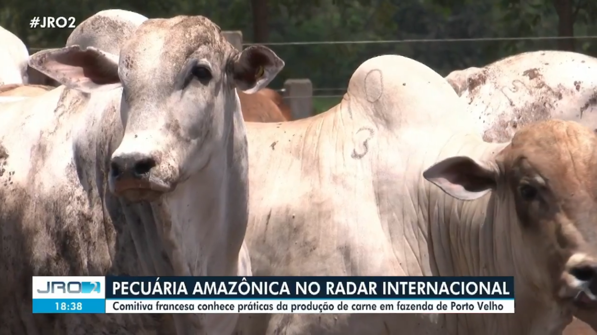 ACONTECEU NA CAEP: Comitiva francesa visita o agro brasileiro em viagem técnica organizada pela CAEP