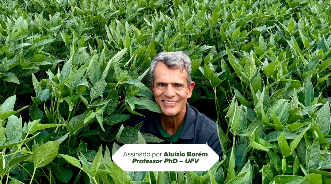 O que é bushel e como essa medida impacta o agro brasileiro
