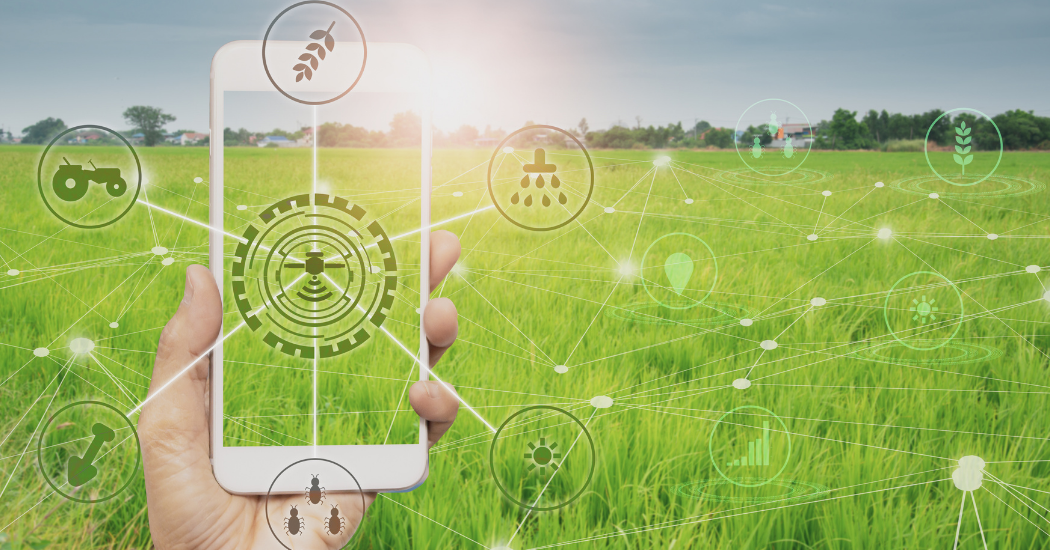 Imagens de satélite, dados e inteligência artificial: uma nova perspectiva para a agricultura